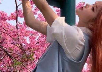 92吃瓜网苹果版，今日中心的瓜让人感到无语了……
